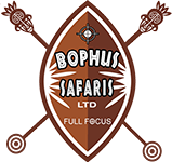 Bophus Safari LTD